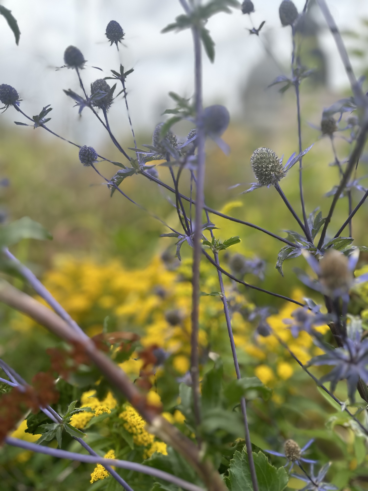 Love You: Cultivating Joy in the ever changing Landscape of your&nbsp;Life.