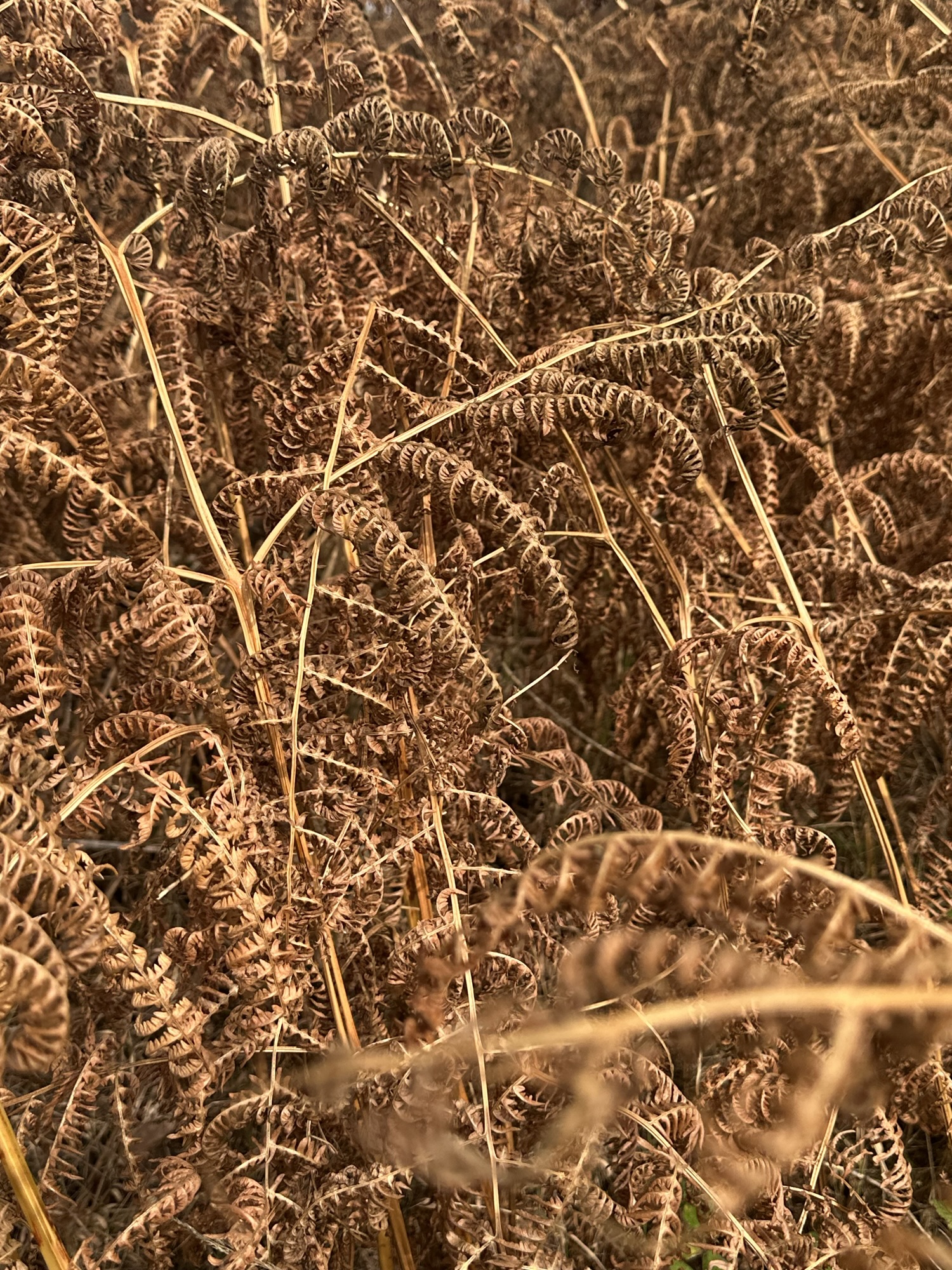 Love You: Harvest&nbsp;Well-being